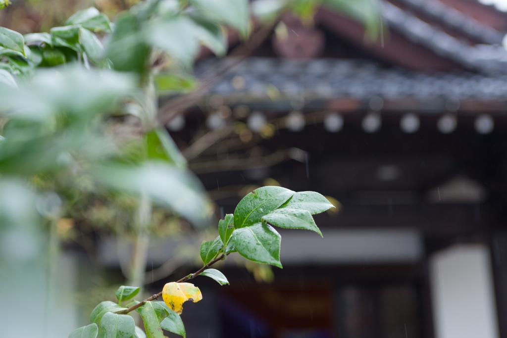 Kashoen Hanare Kai Kyotango Ngoại thất bức ảnh